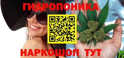 твердый Новозыбков