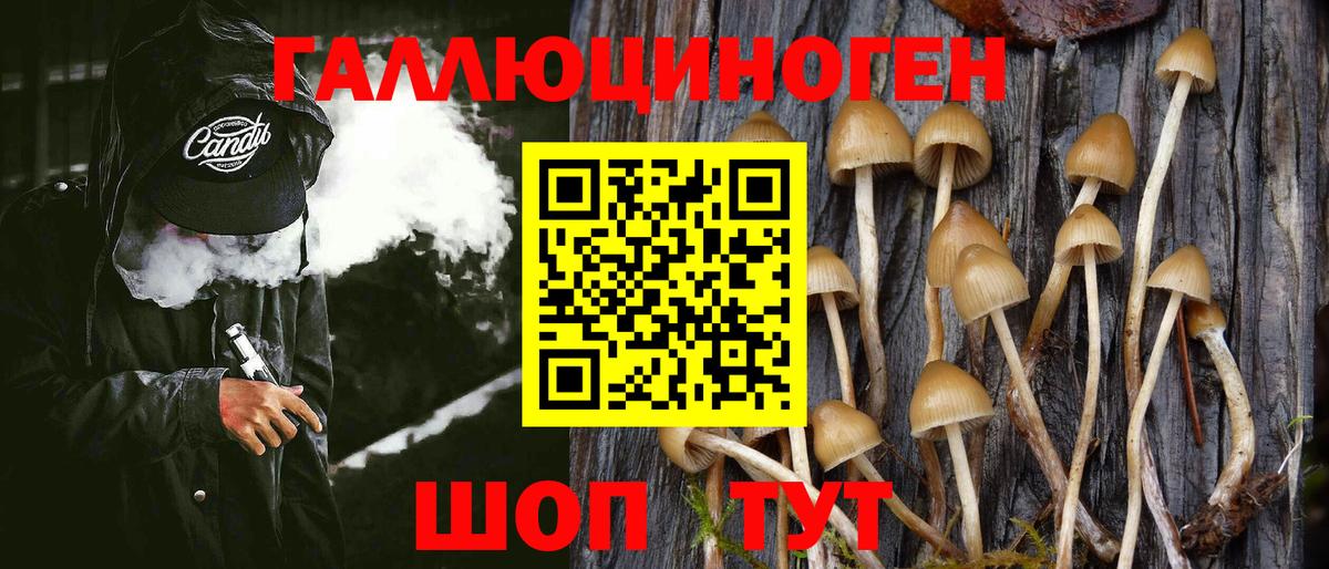Галлюциногенные грибы мухоморы Нягань
